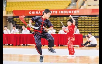 佛山：武林大会开幕，5000多名武林高手畅聚切磋